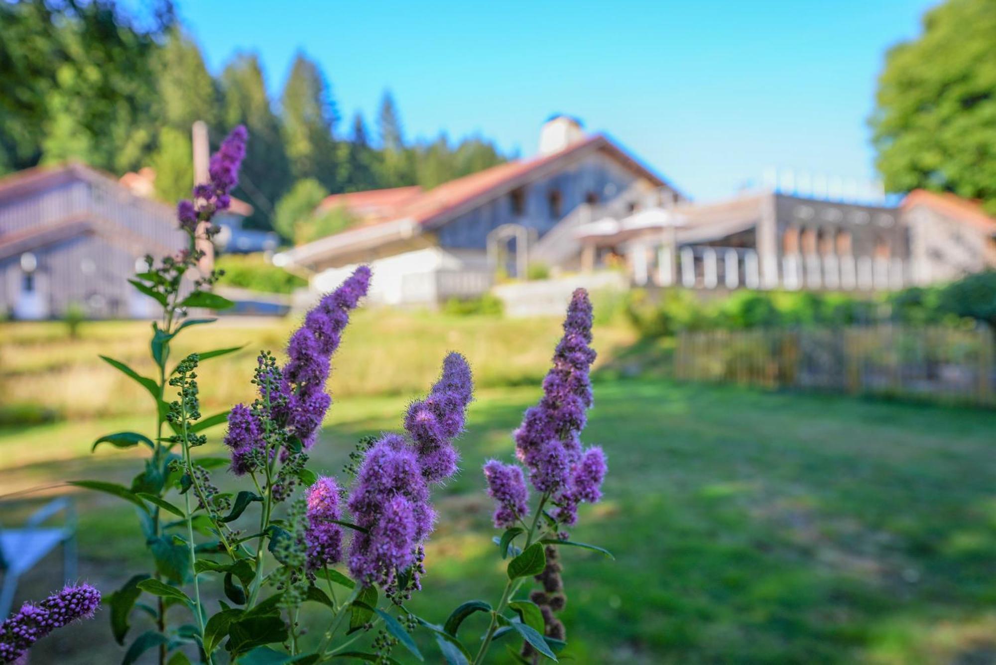 Auberge De La Poulciere Gerardmer Exterior photo